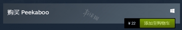 《捉迷藏》steam多少钱？游戏价格一览 1