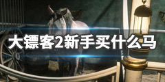 《荒野大镖客2》新手买什么马好？萌新必备少走弯路技巧