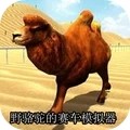 野骆驼的赛车模拟器v1.0.3