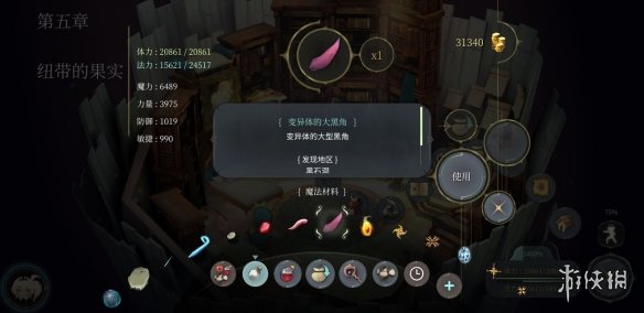 《魔女之泉4》材料哪里获得 全材料获取指南 21