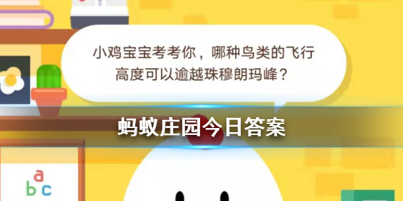 蚂蚁庄园今日答案 斑头雁菜鸟哪种鸟类的飞行高度可以逾越珠穆朗玛峰 1